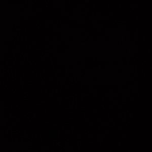 Meet your Posher, Jelani